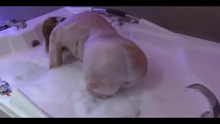 My Friend's Beautiful Wife Enjoys the Jacuzzi in the Motel Before Fucking Her, She Loves Cock