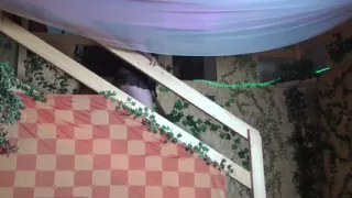 Orgy, Lesbian, Threesome and Cumshot Fuck Compilation