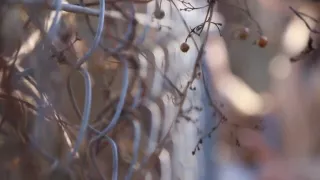 0009648_パンスト フェザータッチ おばさんなどが含まれている