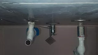 Site Down and up Fuck