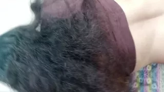 Anal Sex of Your Choice