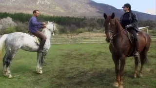 Double in the Ass and Cunt, Many Big Cocks