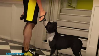 Wvm - Part 219 - Where the F Are They by Misskitty2k