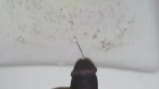 Big Black Cock PISSING