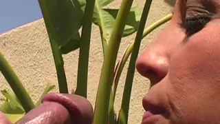 Psy Chic in Bold Adventure