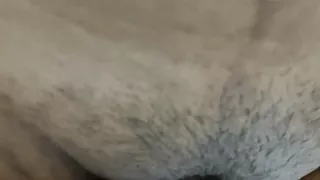 Leave It Alone, There Is Fun