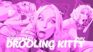 Sugar Baby Drooling Kitty Pmv L Vr Music Video By Private Jet