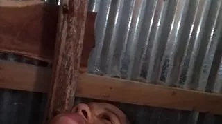 Horny Dominican Pile Strong Very Violet Bitch