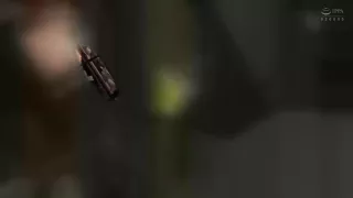 0010538_側位 デカ乳 巨乳などが含まれている