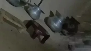 Indian wife fucking from hot land by Indian husband