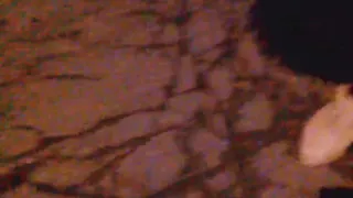 Second visiting to my campus! Hot college slut in bottom-opened black stockings goes to school, takes off panties and exposes.