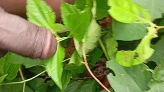 Today new sexy video