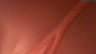 Sign away your soul, to my ass!