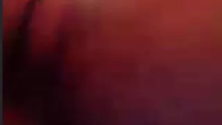 My Young Bull Fuck Like a Bitch