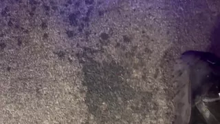 Squirting All Over Grandmas Floor at Christmas