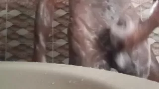 Sakhawat Hussain Chowdhury