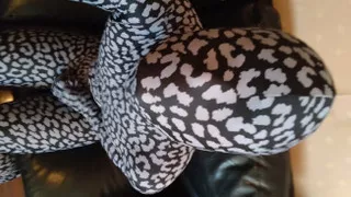 I masturbated comfortably while being tightened in gray leopard print full-body tights!