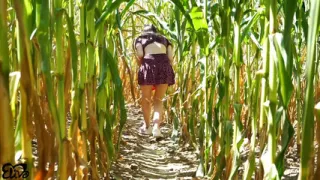 Horny BLOWJOB in a corn field