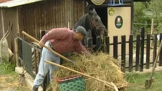 Pretty German teen gets a facial after hot anal fuck