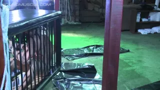 The slave traders - part 8