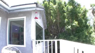 Fresh girl Victoria Rae Black a slut with dark hair loves to