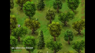 Harem of Horny Girls