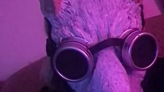 Please suck in my butt hole sir