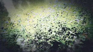 Extramarital affair with your neighbor's sister-in-law - episode 1"