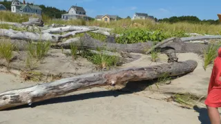 A fantastic pee on the beach