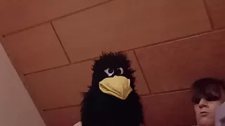 Who will go crazy here... the raven or me..