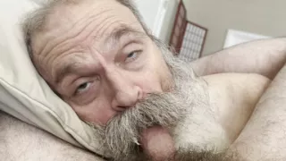 Daddy Bear Nurses Cock, Gets Cumstache Reward