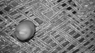 My New Nude Masturbation Sex Video.