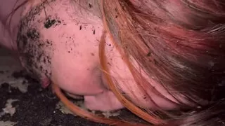 Mud, Licking Shoe, Toilet Washing