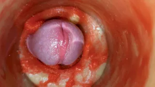 Cum Without Sperm. Excellent Internal Camera. 4K