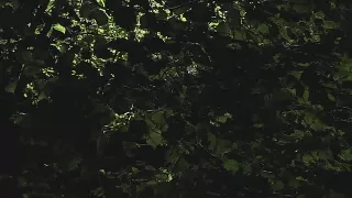 Devote Blondine im Garten gefesselt und befriedigt