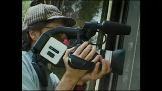 The Sex Specialist and Love