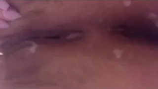 Creampie Compilation