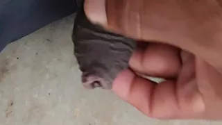 While bathing sister-in-law