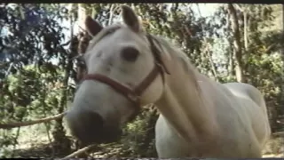 Extreme Hardcore Sluts Torn Apart by Cocks in Relentless XXX