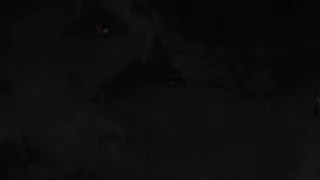 Symphony of the Serpent - Part 82 - Nia's Hot Outfit! by Loveskysan69