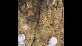 The Newhere