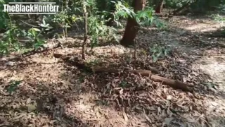 Worker Sucking in the Bush and Fucking His Coworker