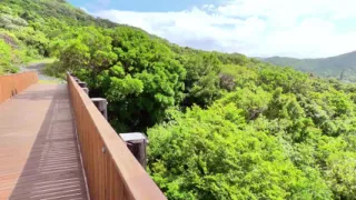 From Scenic Drive to Steamy Stop