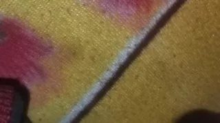 Vid
