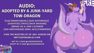 Audio Adopted by a Junk-yard Tow-dragon