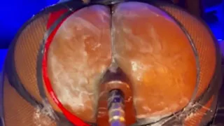 Creamy Butt Machine Fuck