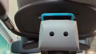 Gym Visit Had to Be Cut Short, the Horn Was Real