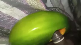 Rough Hard Core Sex.