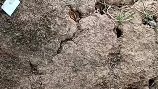 He is masturbating to get back himself