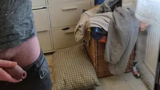 Teasing and Playing